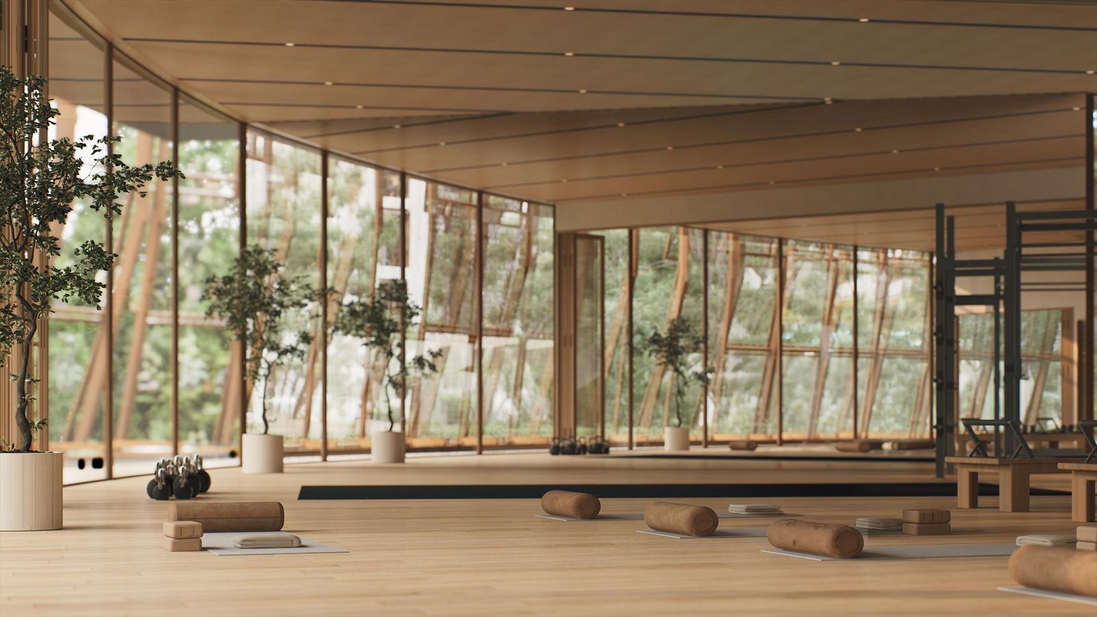 Yoga and meditation room